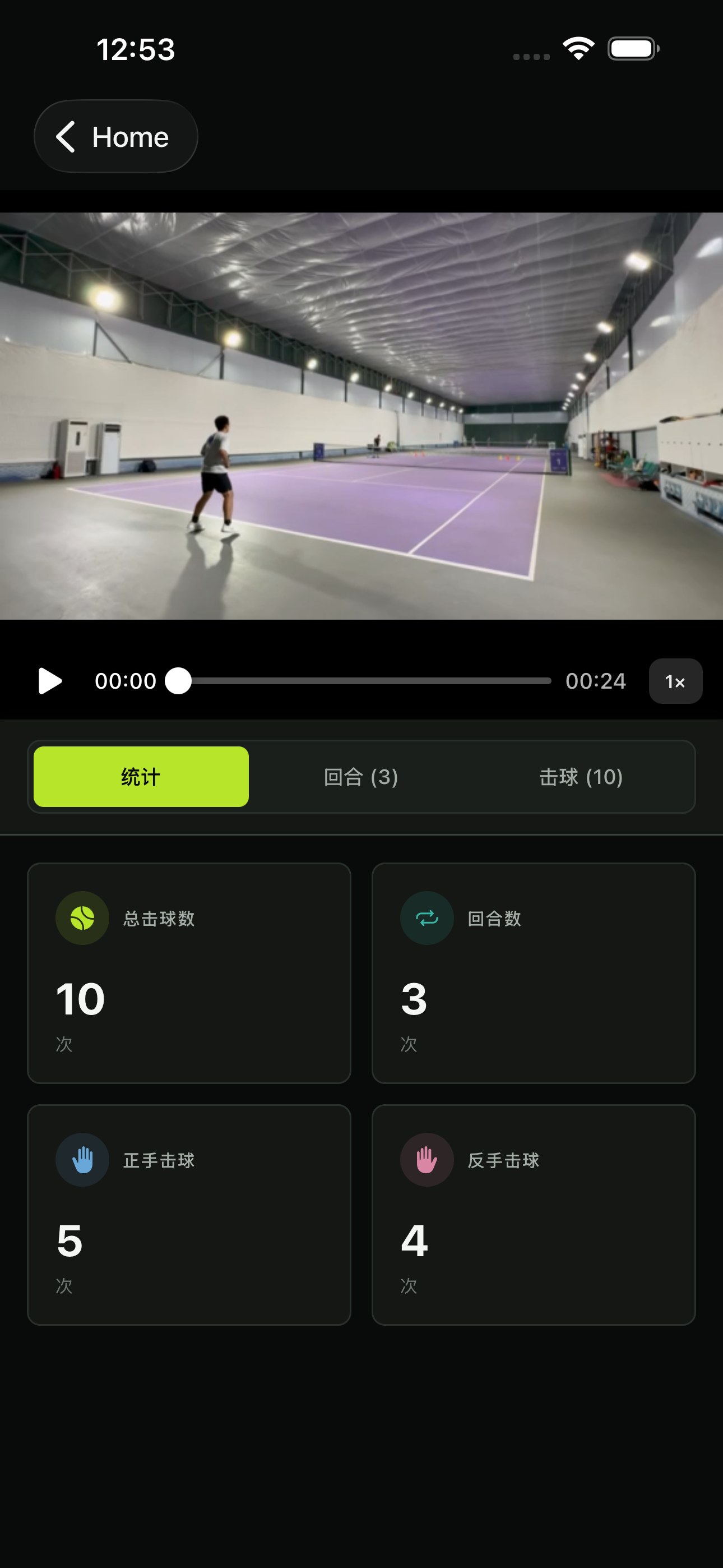 RallyCat training statistics interface